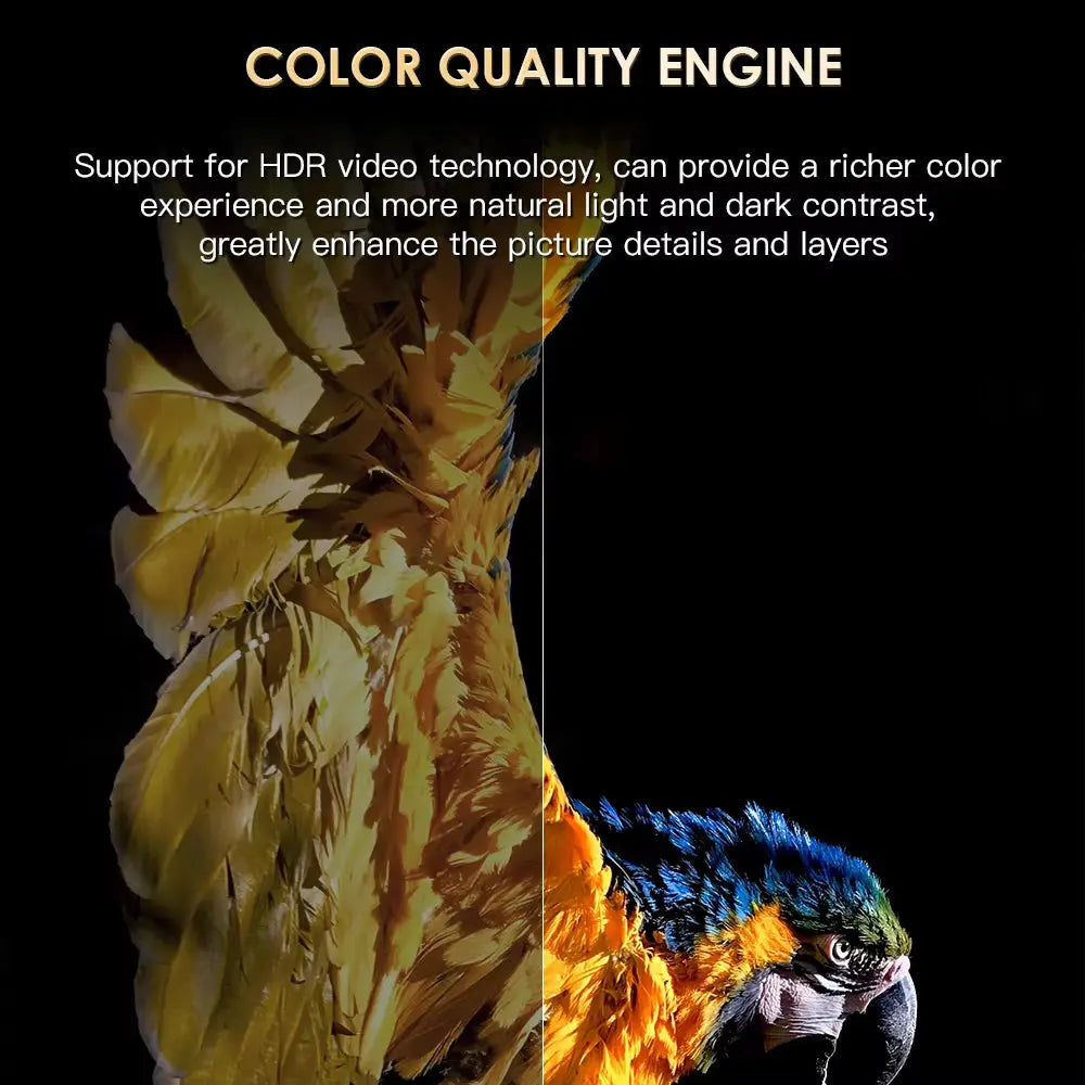 H20PRO Android 10 TV Box with 16GB Storage, Dual Band Wi-Fi, 4K HD Video Playback, and 1080P Set Top Box Functionality